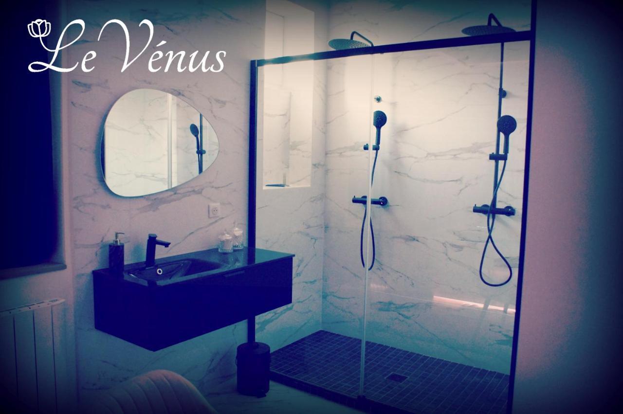 Le Venus - Appartement Spa Privatif Balneo Sauna Dijon Bagian luar foto